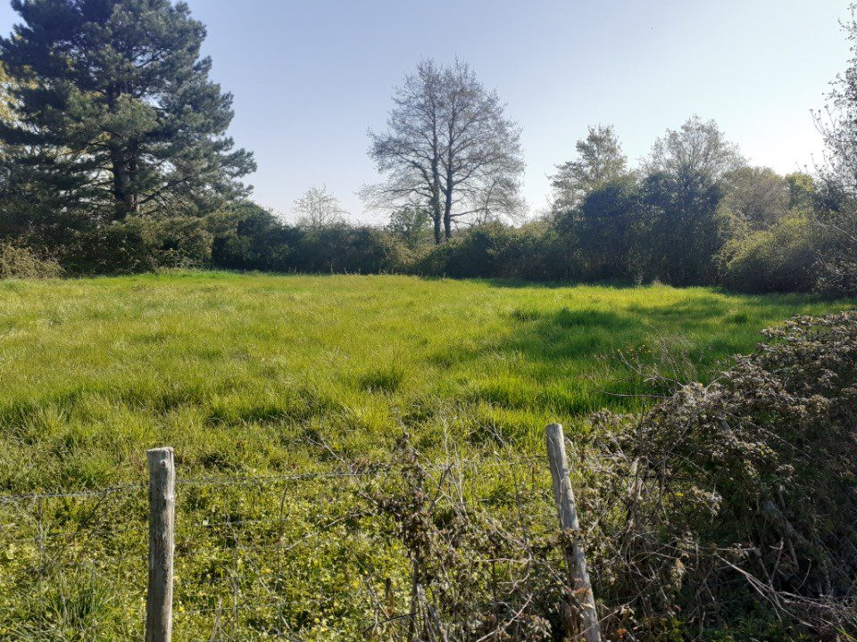 Terrain à vendre à Bouvron